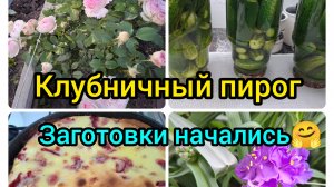 07-06-2026/ Живём и работаем на Кубани/ Клубничный пирог/ Маринованные огурцы/ Забрали ковры/ Кубань