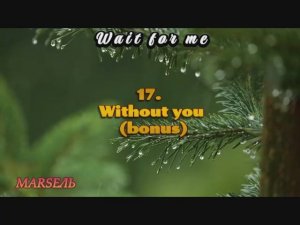 17. Without you (bonus)