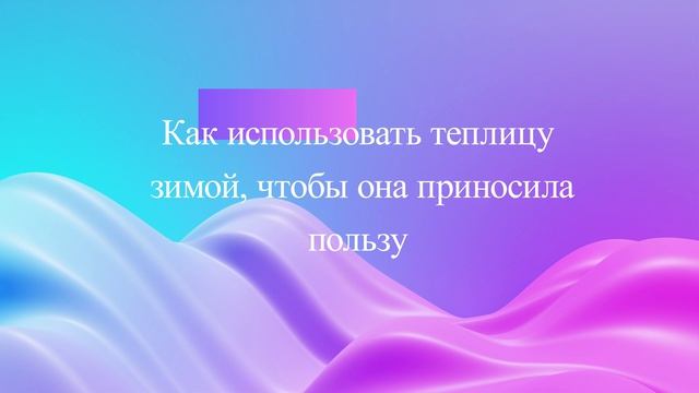 Как использовать теплицу зимой, чтобы она приносила пользу