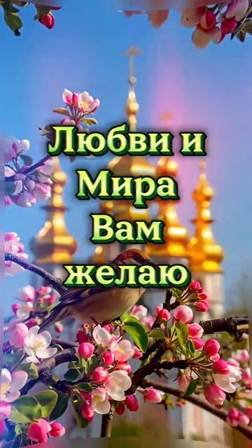 07-06-2026 🙏🙏🙏 смотреть онлайн