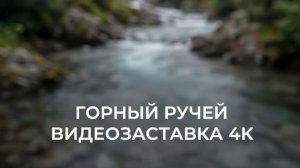 Горный ручей. Видеозаставка для релакса и медитации! Качество - 4к !
