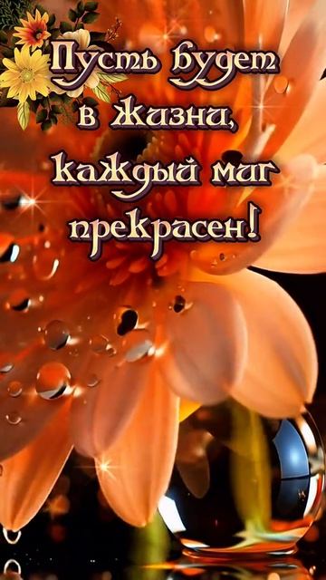 Добрый вечер 🌃 смотреть онлайн