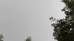 Гроза, расстегивание, гром, дождь