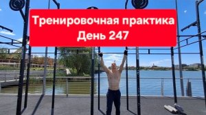 Тренировочная практика. День 247
