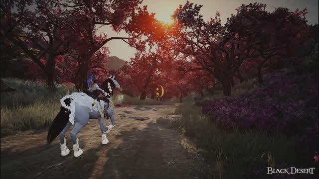 BDO PVP RU Kunoichi\Ninja. Gild PiUPiU альянс ДУРКА смотреть онлайн