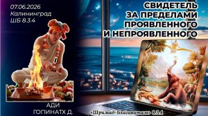 Свидетель за пределами проявленного и непроявленного. Ади Гопинатх д. «Шримад-Бхагаватам» 8.3.4