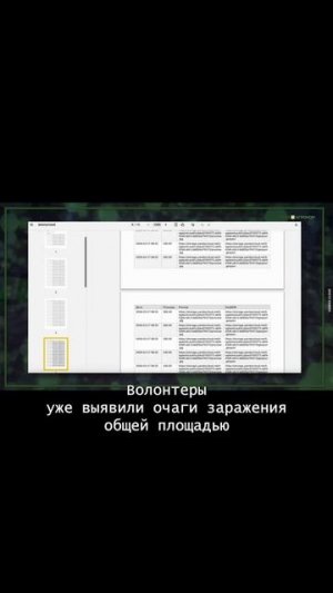 ⚠️ Осторожно: борщевик Сосновского!   Он уже виден из космоса — белые пятна на зелёных полях 🌍👀