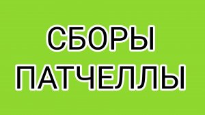 Парад безграмотности от ПАТЧЕЛЛЫ
