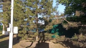 Село Дмитриевское на Ставрополье. май-2026 г.