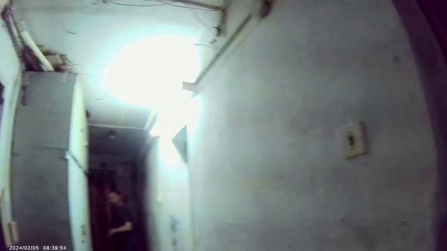 света31 смотреть онлайн