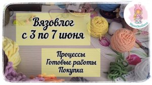 Короткий вязовлог с 3 по 7 июня 2026 года / Процессы / Готовые работы / Покупка