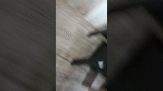 старое видео с Анисой смотреть онлайн