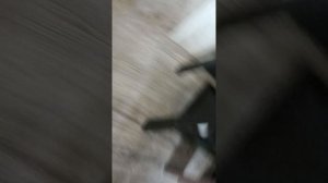 старое видео с Анисой