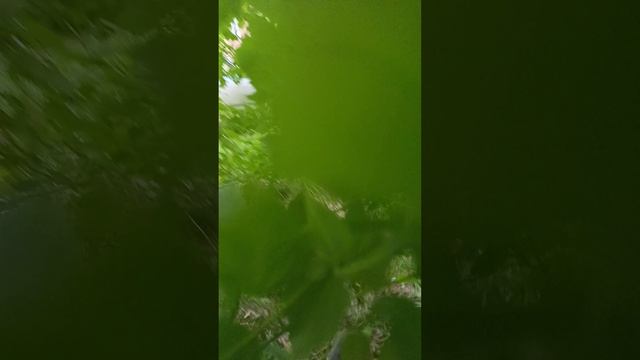 Арт Сядзіба смотреть онлайн