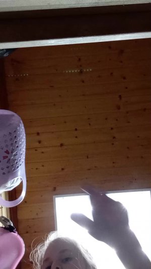 челлендж не пролей воду