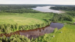 38,6 соток у леса - Электричество 15кВт - ЛПХ - Руза