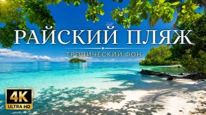 Райский пляж в 4K — тропический фон для отдыха