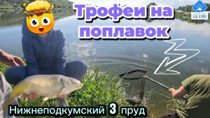 Трофейные поклëвки на поплавок. Рыбалка Ставропольский край. Нижнеподкумский третий пруд.