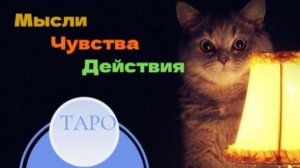 🔮Расклад таро🎴   🔴Мысли Чувства Действия💥💞🔆