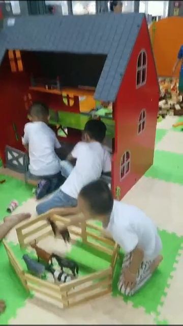 Videos2026-06-08_162904_524
