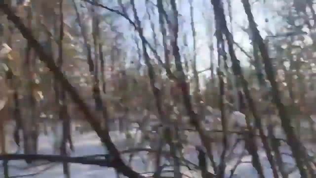 продержись 24 часа или умри сезон 3 ЧАСТЬ 1