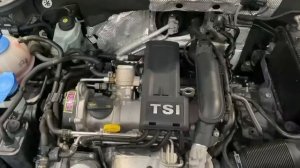 CBZ-E71256 TM2429 BEETLE 5C