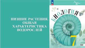 Урок 3. Низшие растения. Общая характеристика водорослей