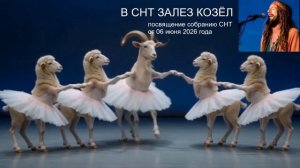 В СНТ залез козёл