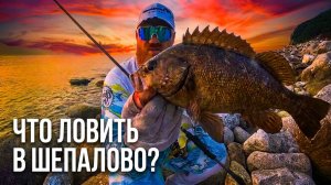 Рокфишинг и отдых в Приморье, бухта Шепалово