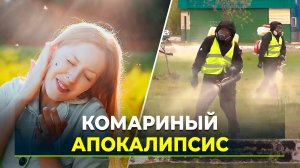 Комары захватили города России этим летом