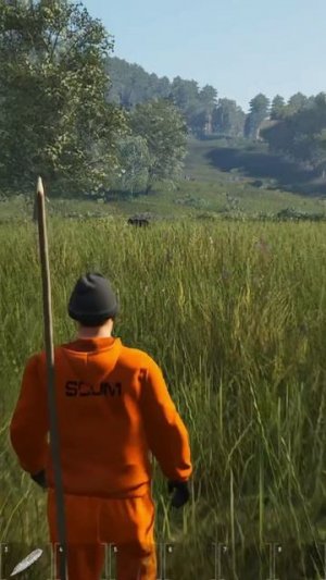 Scum. Травоядный волк