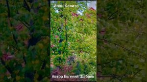 Калита. Автор Евгений Шабаев