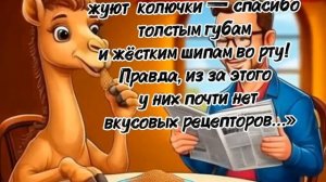 Оказывается верблюды совсем не простые животные. А какие?