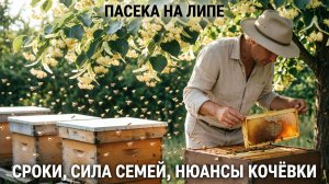 Как организовать пасеку на липе: сроки, сила семей, нюансы кочёвки | Профессор Кашковский 🐝🌳