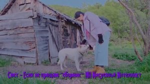 Свет - Если не прощаю (сборник) ИИ Иисусовый Интеллект