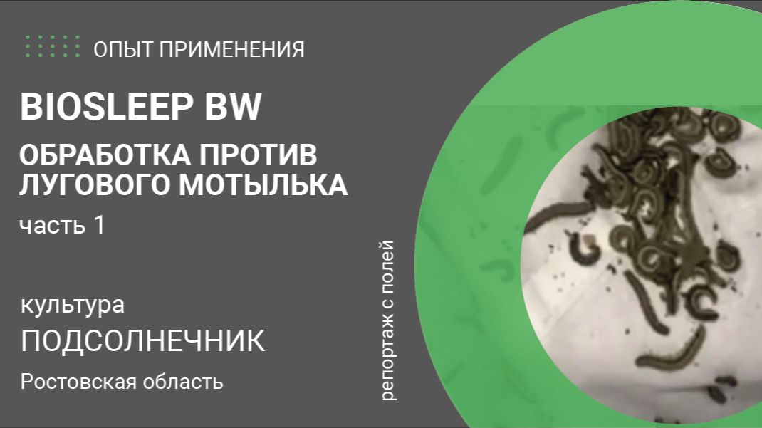 Биологический инсектицид против чешуекрылых вредителей на подсолнечнике