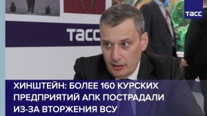 Хинштейн: более 160 курских предприятий АПК пострадали из-за вторжения ВСУ