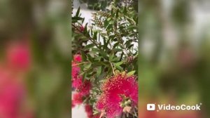 1000187744.mp4 Ялта .Гостиница Интурист👍