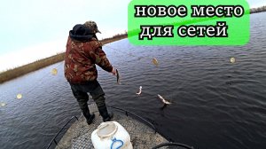 она перехитрила щуку или рыбалка сетями на новом месте
