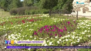 Новый цветник появился в Сестрорецке