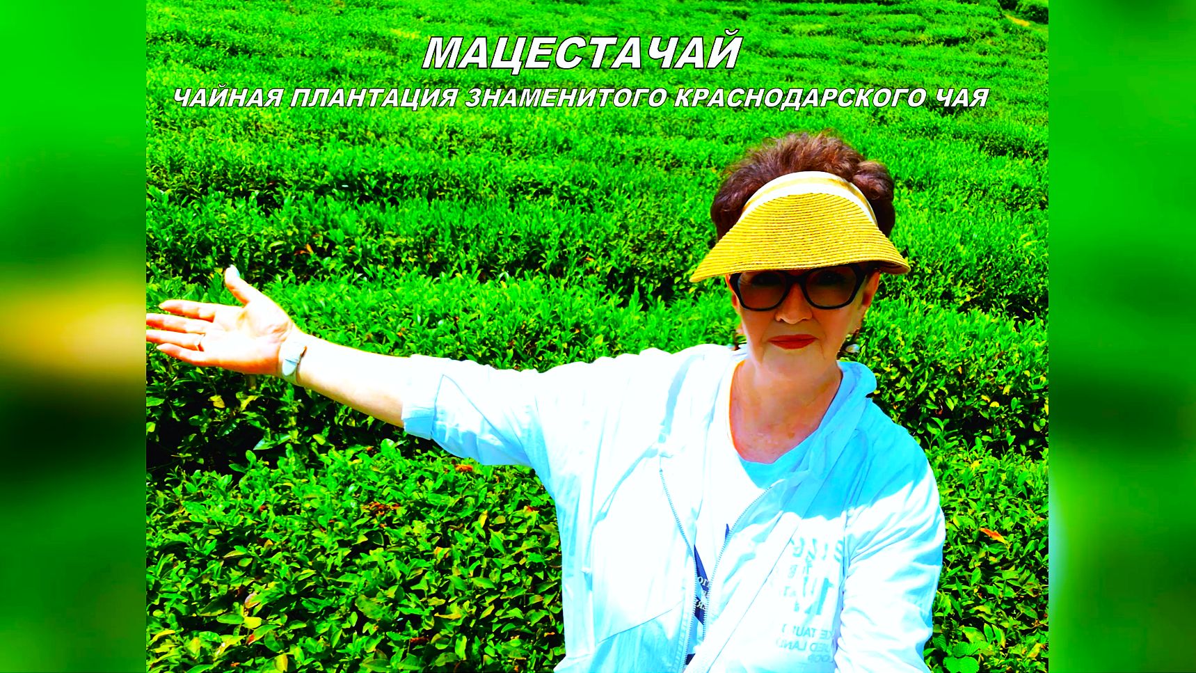Отдыхаем в Сочи 2026: едем на чайную плантацию Мацесты, одно из самых живописных мест! Часть первая