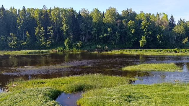Река Луга смотреть онлайн