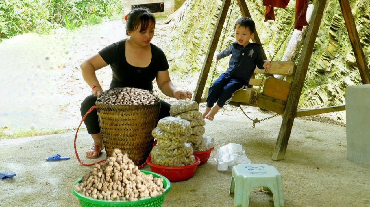 Собирайте урожай арахиса и отвозите его на рынок на продажу — Chúc Tòn Bình. смотреть онлайн