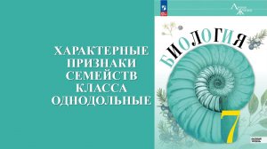 Урок 18. Характерные признаки семейств класса однодольные