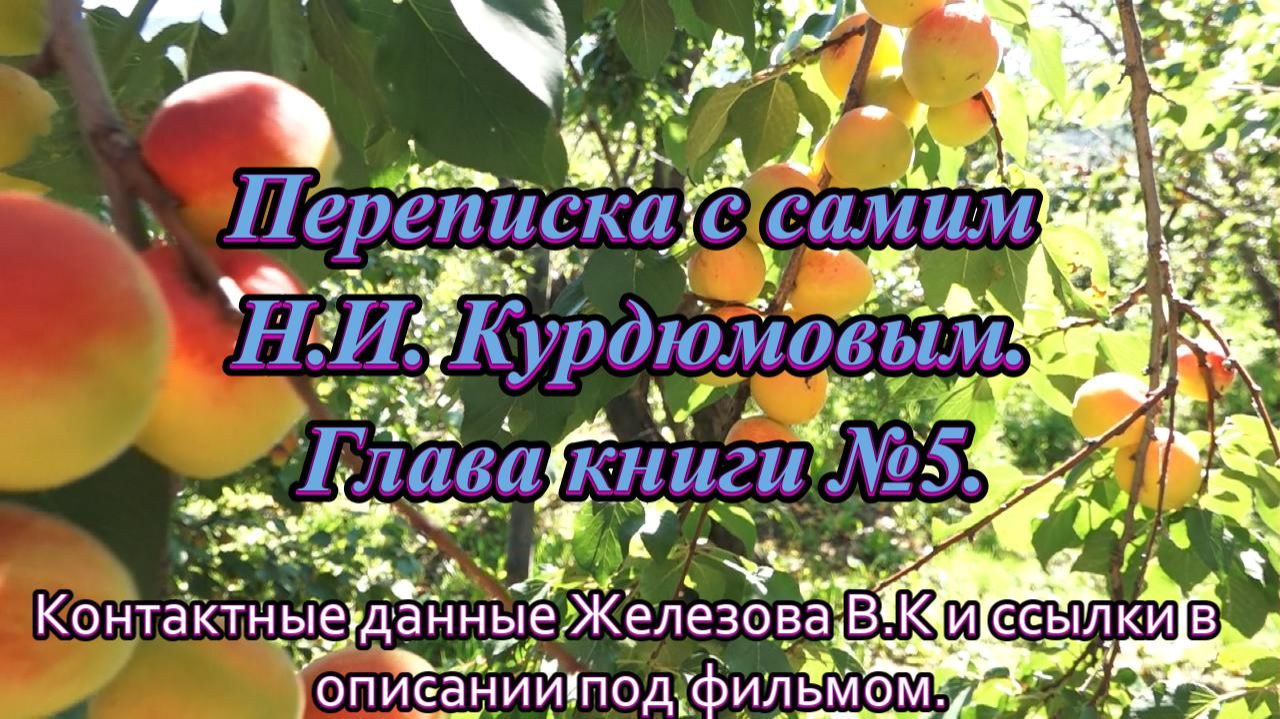 Переписка с самим Н.И. Курдюмовым. Глава книги №5.