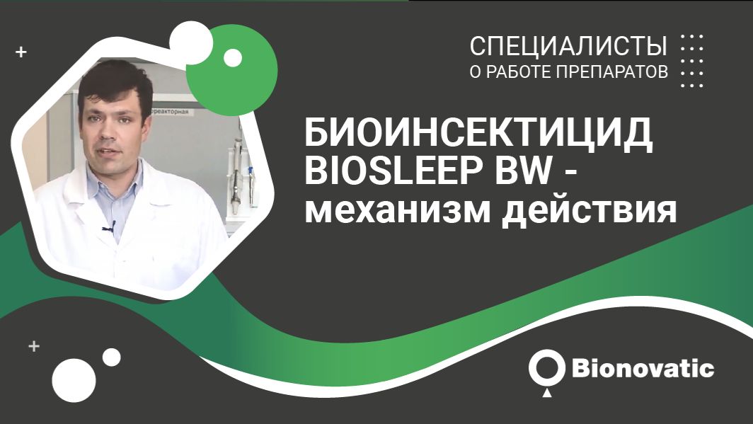 Биоинсектицид BioSleep BW - механизм действия смотреть онлайн