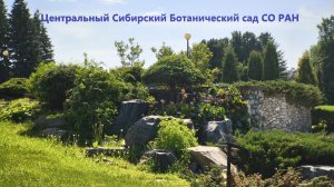 Новосибирск 07 июня 2026 года Центральный Сибирский Ботанический сад СО РАН