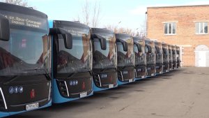 КРАСНОЯРЦЫ В ДУШНЫХ АВТОБУСАХ ПАДАЮТ В ОБМОРОКИ