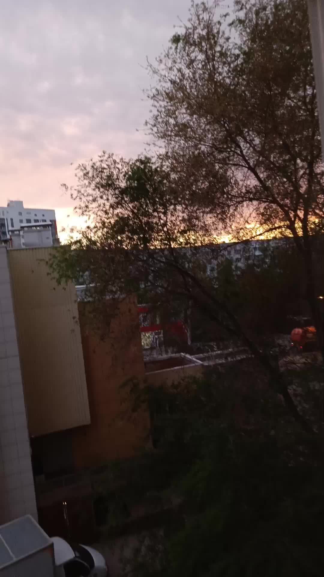 влог смотреть онлайн