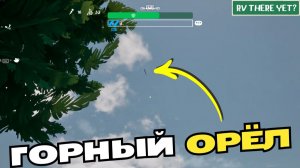RV There Yet Горный орёл